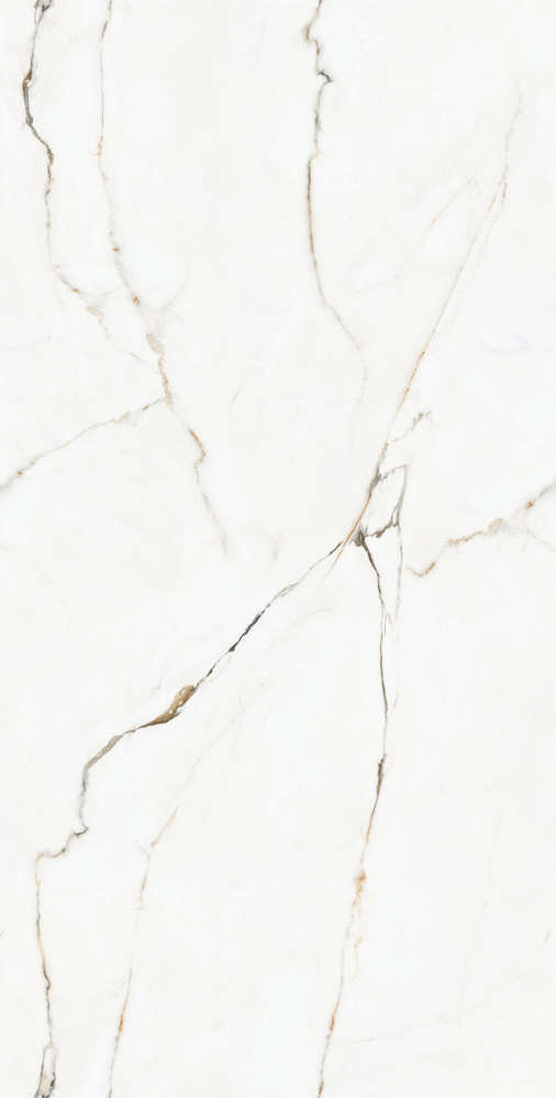 Glossy60120 (600x1200)