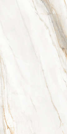 Kerald Magnetic Gold Carving 60x120