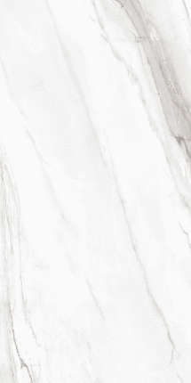 Kerald Magnetic Grey Carving 60x120