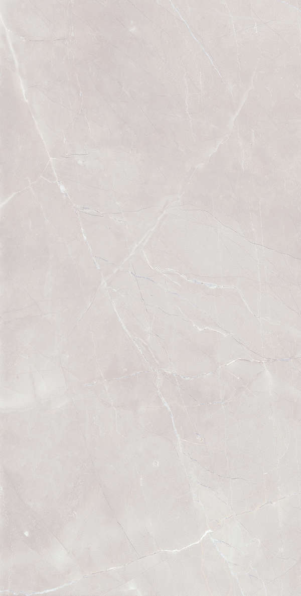 Grey Glossy 60120 (600x1200)