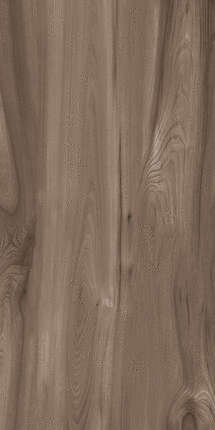 Kerald Oak Wood Natural Matt 60x120