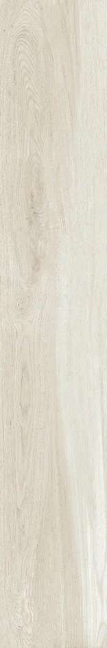 YI212M3101Matt20x120 (200x1200)