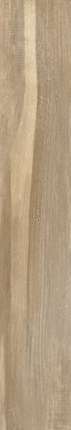 Kerald Oak YI212M3103Matt20x120
