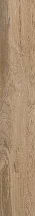 Kerald Oak YI212M3104Matt20x120