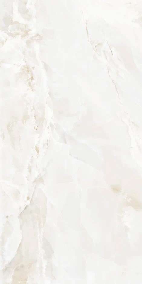 QI612P6701MPolish60x120 (600x1200)