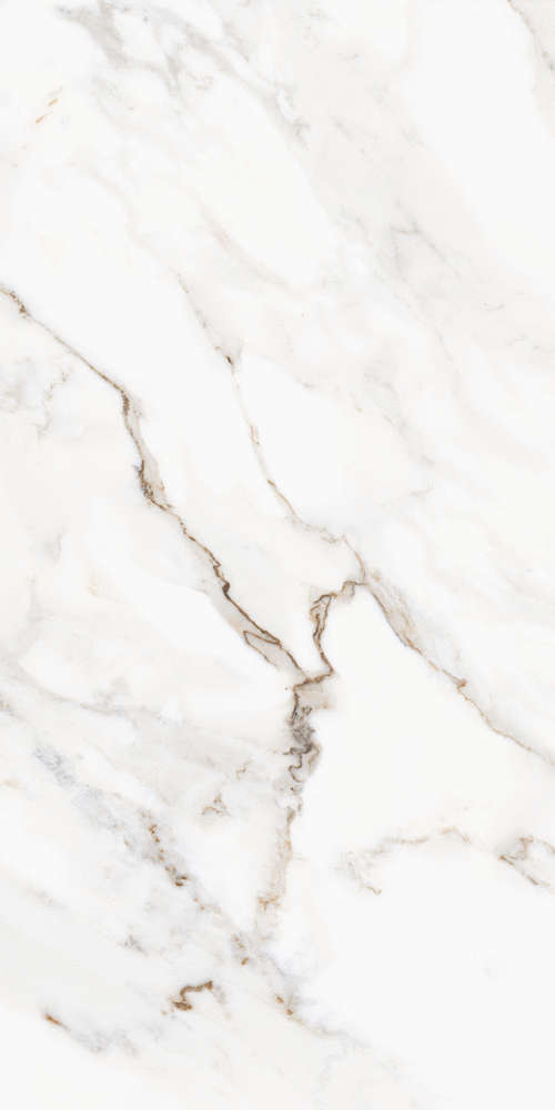 Kerald Royal Statuario Matt60120 -3