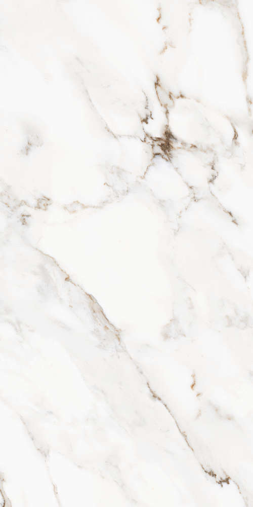Kerald Royal Statuario Matt60120 -4