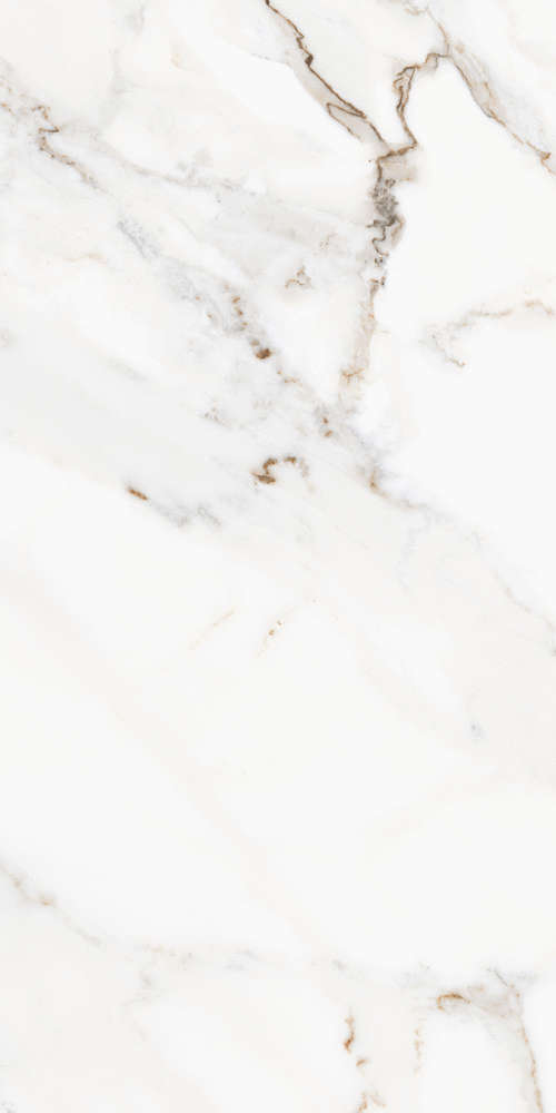 Kerald Royal Statuario Matt60120 -5