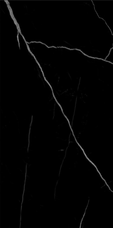 BlackHigh Glossy60120 (600x1200)