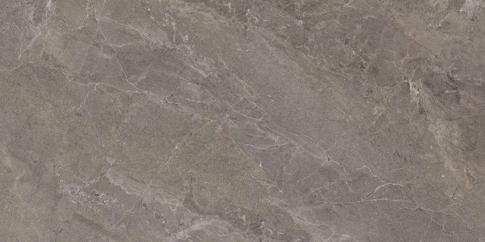 Fossil Carving 80x160 (1600x800)