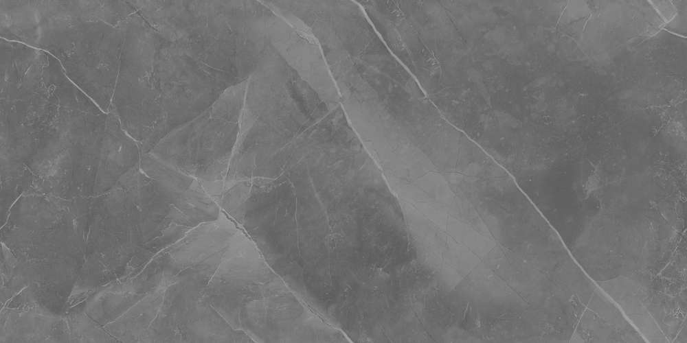 Grey Glossy 60x120 (1200x600)