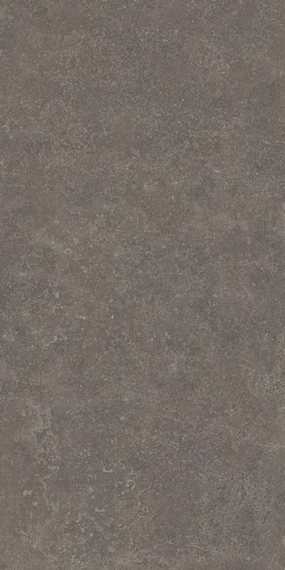 RP    60x119.5x0.9 (600x1195)