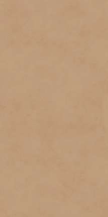 Kerama Marazzi      60119.5x0.9