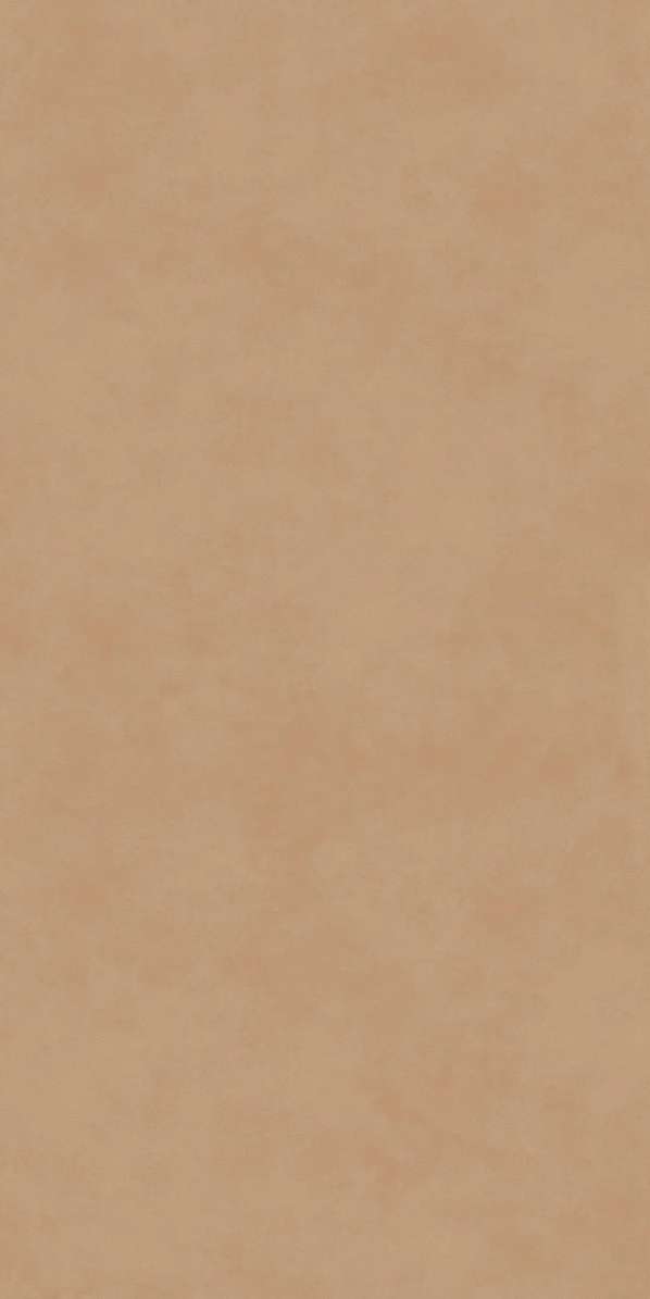    60119.5x0.9 (600x1195)