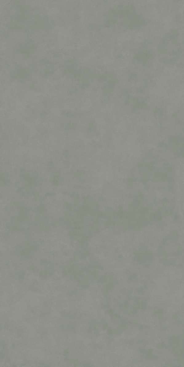     60119.5x0.9 (600x1195)