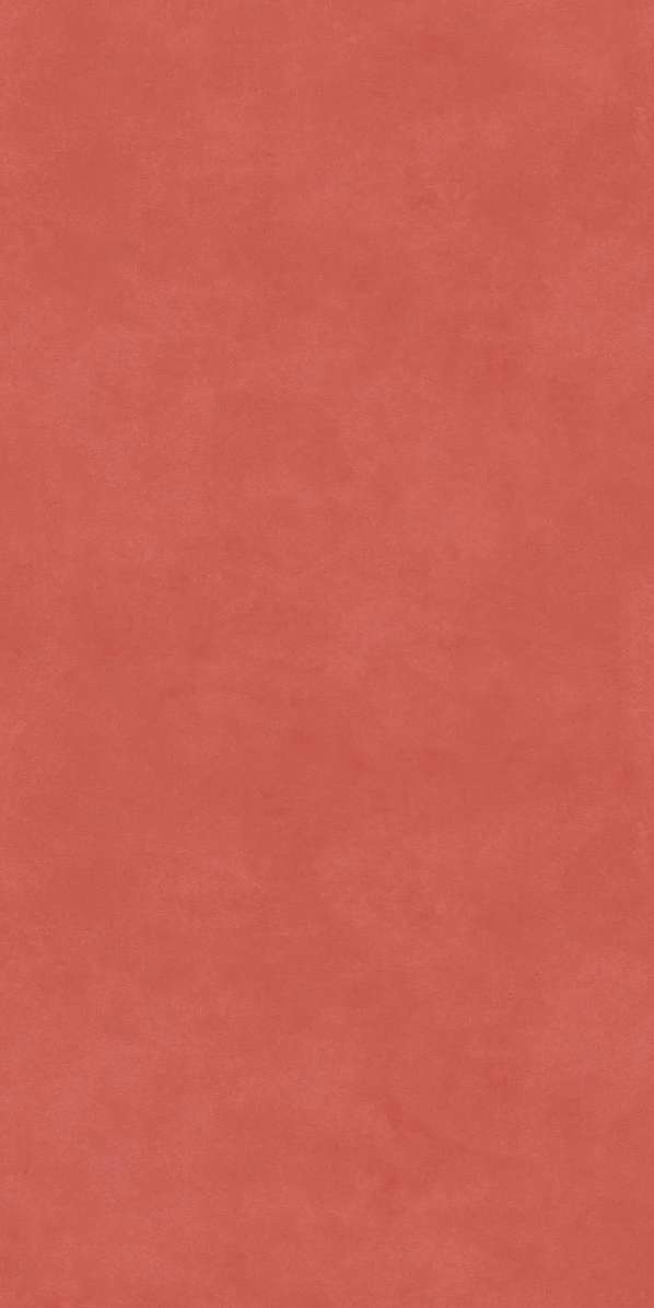    60119.5x0.9 (600x1195)