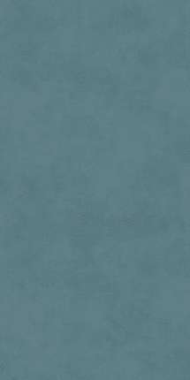 Kerama Marazzi      60119.5x0.9