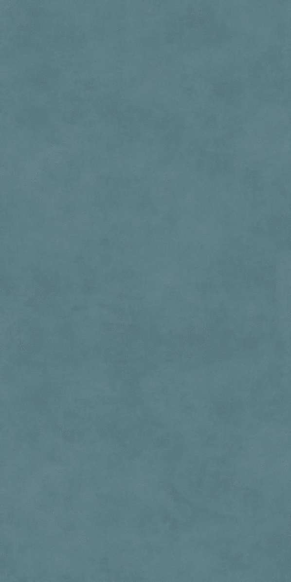    60119.5x0.9 (600x1195)