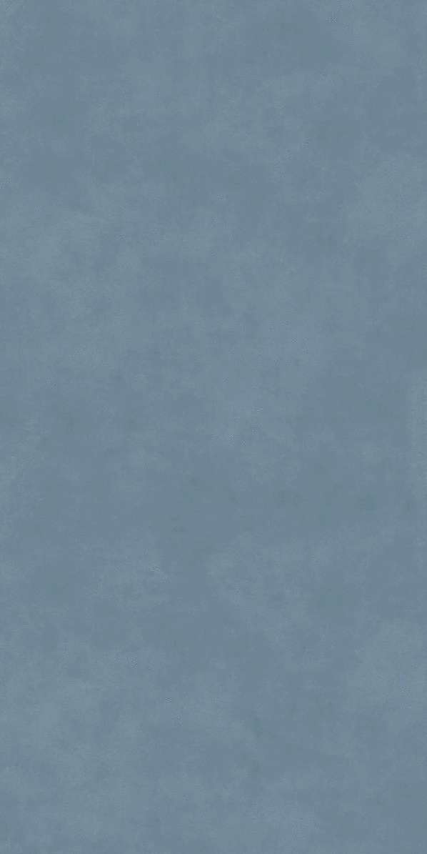     60119.5x0.9 (600x1195)