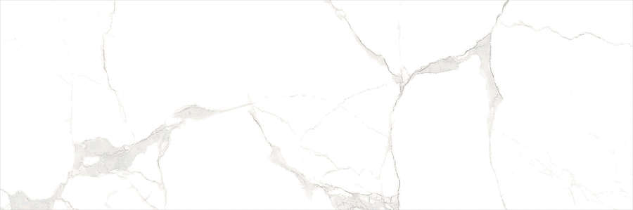 Blanco Rectificado (900x300)
