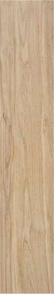 Keratile Havsta Camel Mt 23x120