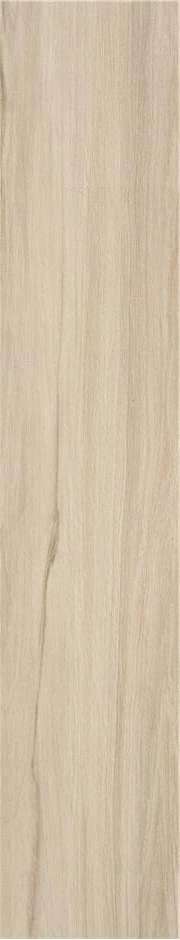 Natural Mt 23x120 (230x1200)