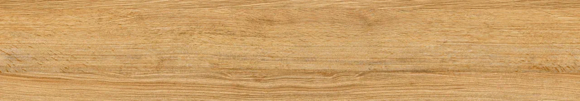 Sofia Cream Matt 20120 (1200x200)