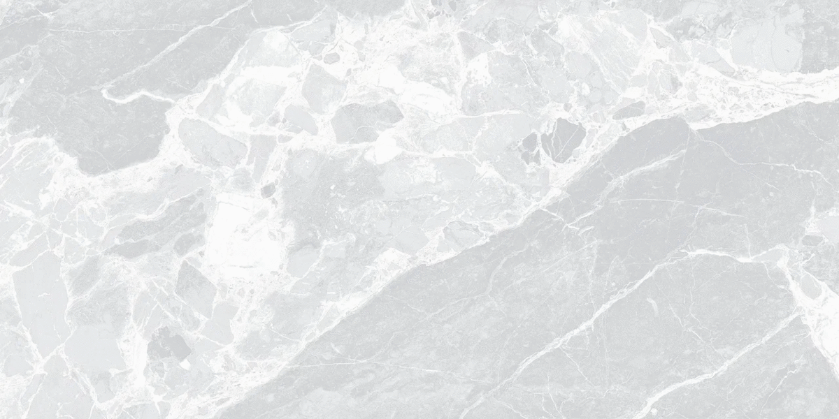 Dominic Gray Light PGL 60x120 (1200x600)