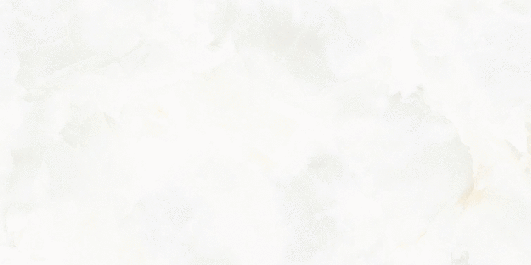 9530 Lidia PGL 60�120 (1200x600)