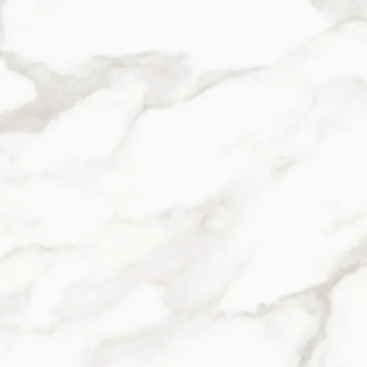 Carrara 6060 (600x600)