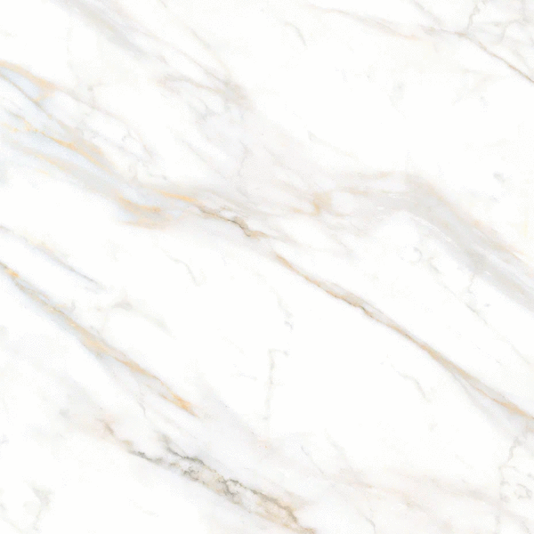 4200 Calacatta Gold �� 60�60 (600x600)