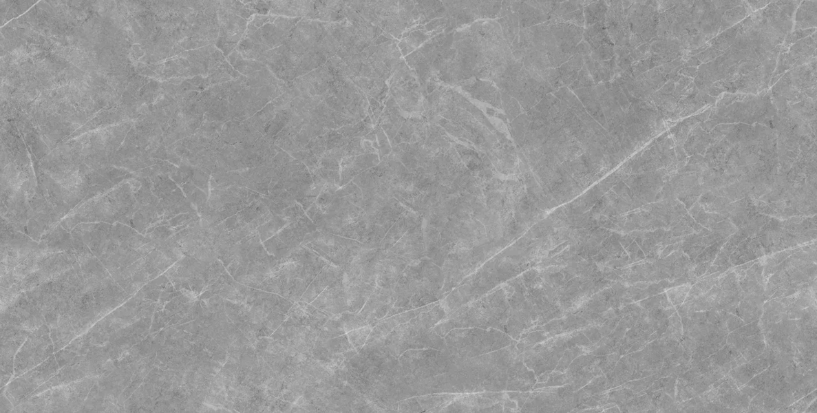 Pamir Gray Mat 60x120 (1200x600)