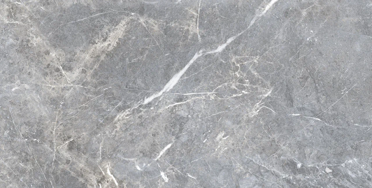 Neva Gray Mat 60x120 (1200x600)
