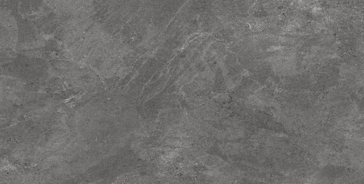 2421D Madeira Gray Dark MT 60�120 (1200x600)