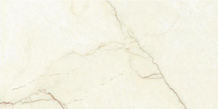 Santana Light Beige MT 60�120 (1200x600)