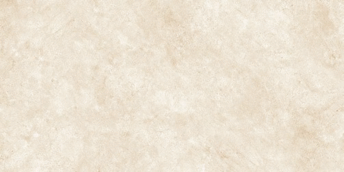 Senat Beige SHG 60�120 (1200x600)