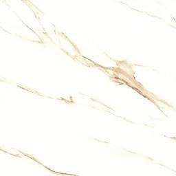 King Star Ceramic Glossy Satvariya Brown 60x60