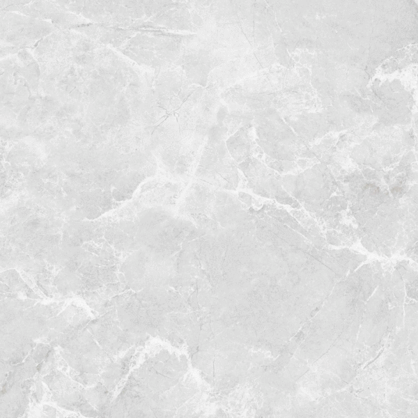 LV Granito Beta Silver Carving 60x60 ����-3