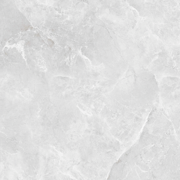 LV Granito Beta Silver Carving 60x60 ����-7