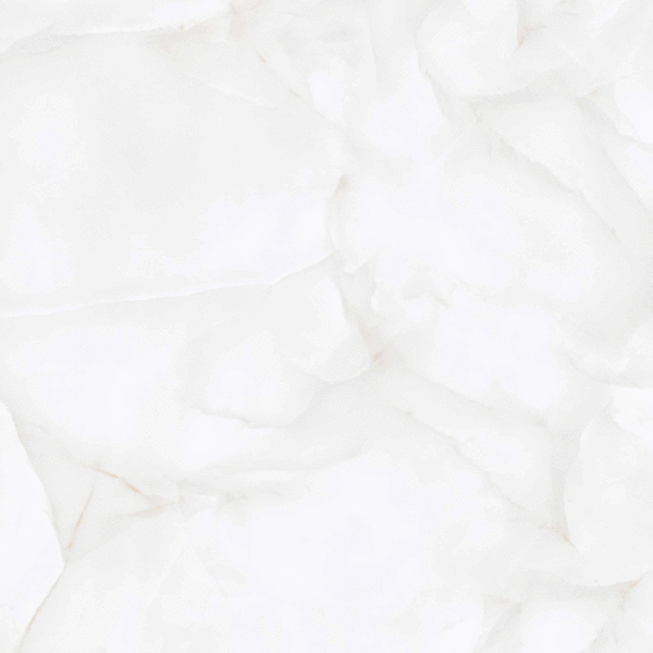 LV Granito Brais RS White Carving 60x60 ����-5