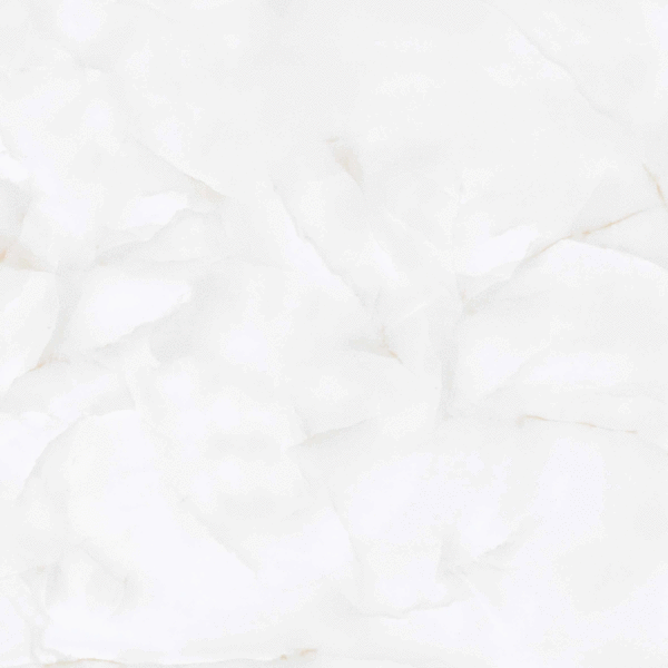 LV Granito Brais RS White Carving 60x60 ����-6