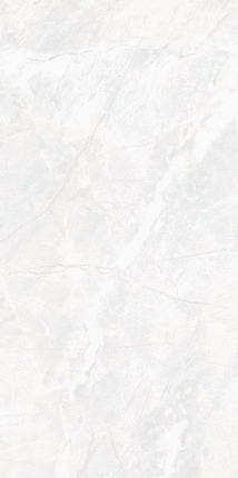 LV Granito Brizzo White RS Carving 60120