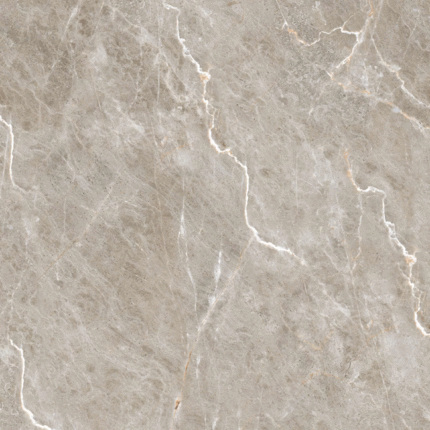 LV Granito Heaven Brown Carving 60x60