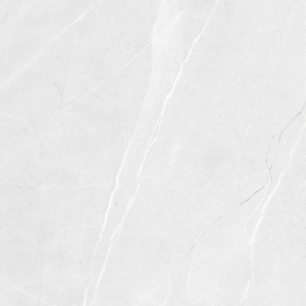 LV Granito Vibrant Bianco Carving 60x60