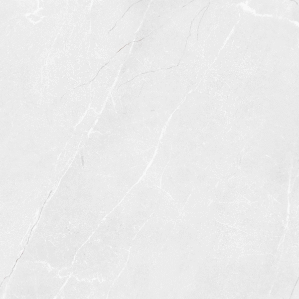 LV Granito Vibrant Bianco Carving 60x60 ����-2