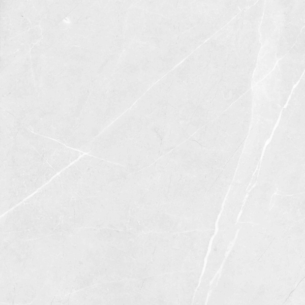 LV Granito Vibrant Bianco Carving 60x60 ����-4