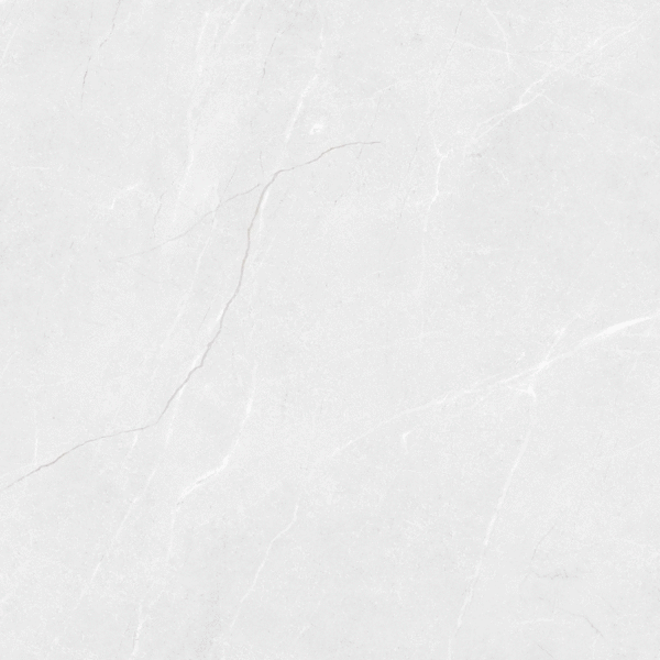 LV Granito Vibrant Bianco Carving 60x60 ����-7