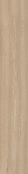YKSG6 2012B RM (200x1200)