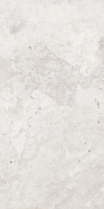 La Fenice Amazing Grigio Rett 60x120