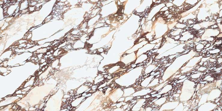 Laminam I Naturali Marmi Calacatta Viola Book Match Face A 324x162 12.5 
